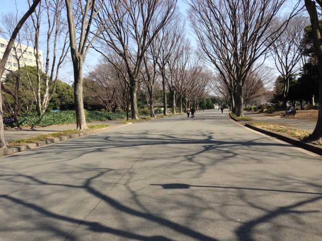駒沢公園・西口