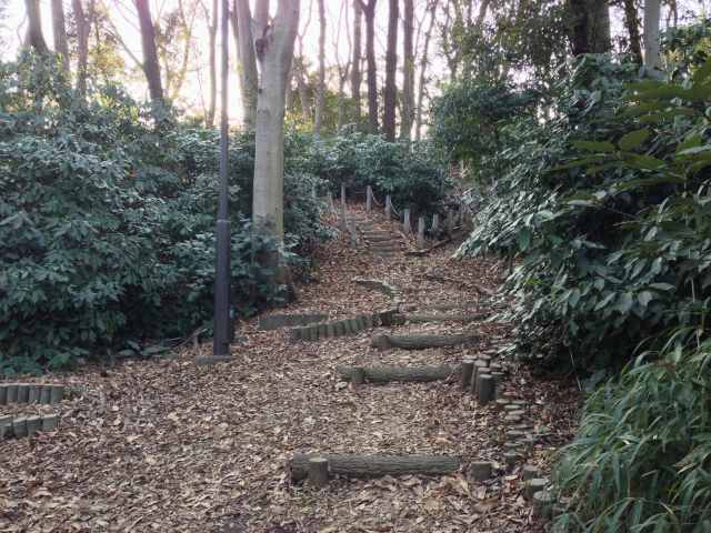 赤塚公園の沖山地区