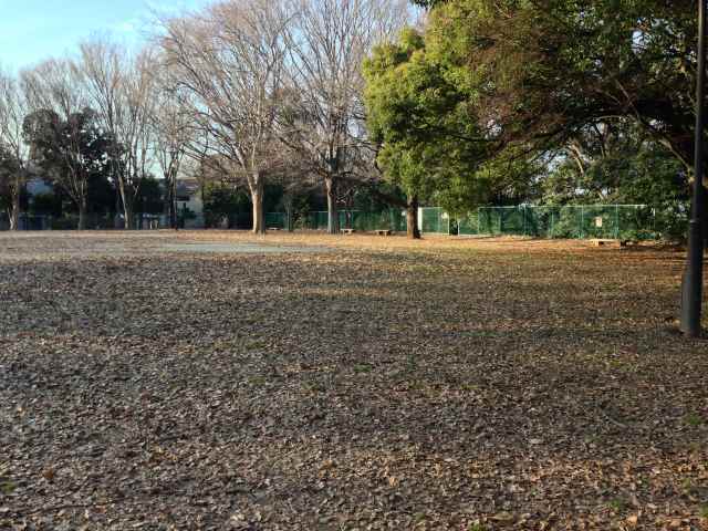 赤塚公園の沖山地区の広場