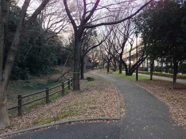 赤塚公園の大門地区