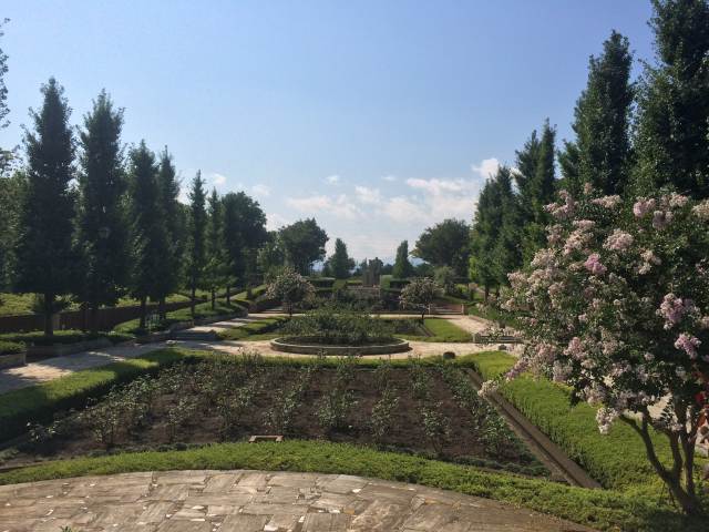 秋留台公園のバラ園～遠景