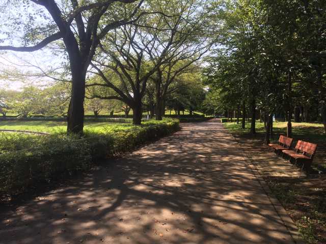 秋留台公園の北の園路