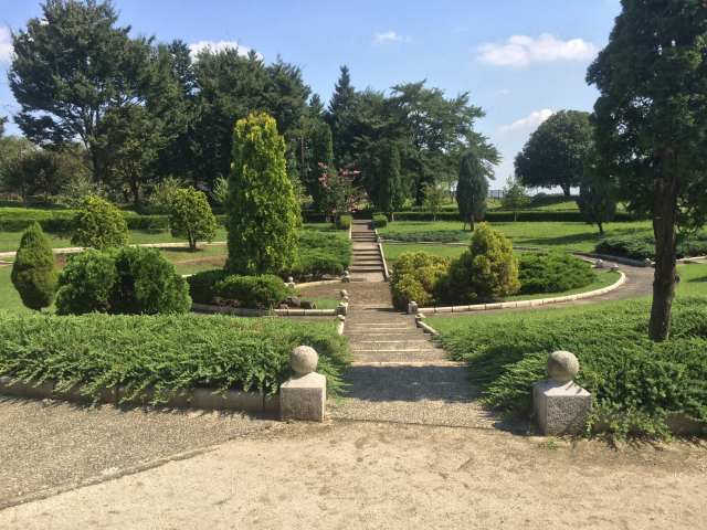 秋留台公園のコニファー園