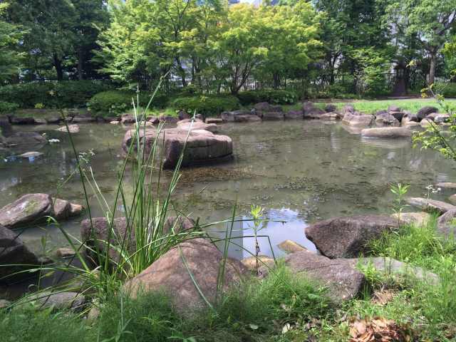 青海南ふ頭公園の自然石