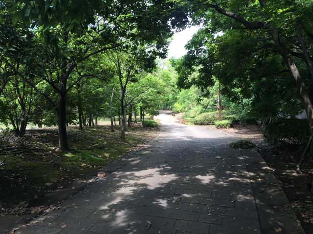 青海南ふ頭公園・陸エリアの園路