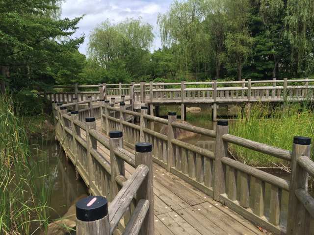 青海南ふ頭公園・陸エリアにある木製の橋