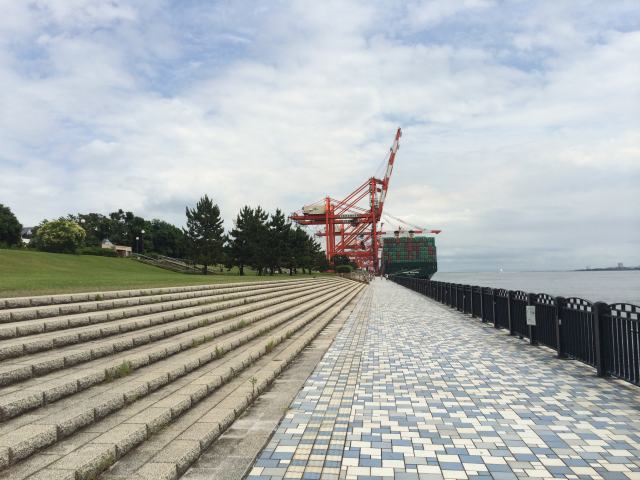 青海南ふ頭公園の釣りエリア