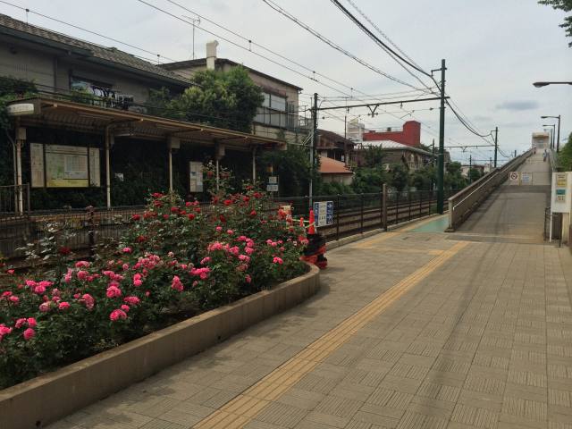 荒川自然公園の荒川二丁目口