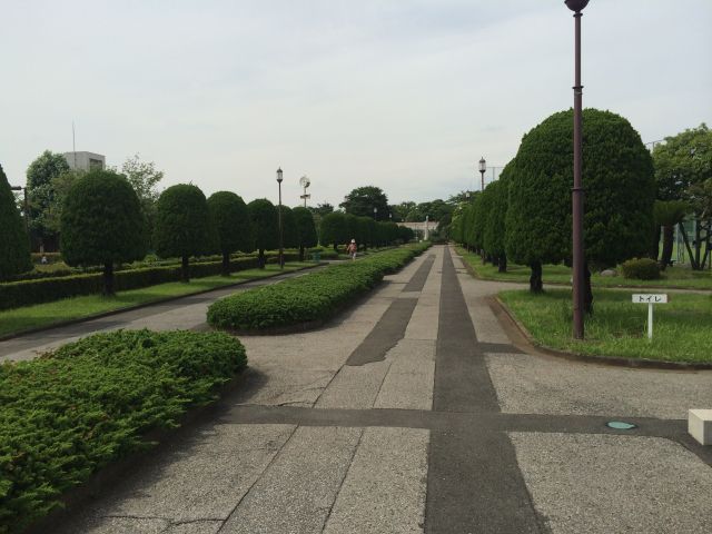 荒川自然公園のプロムナード