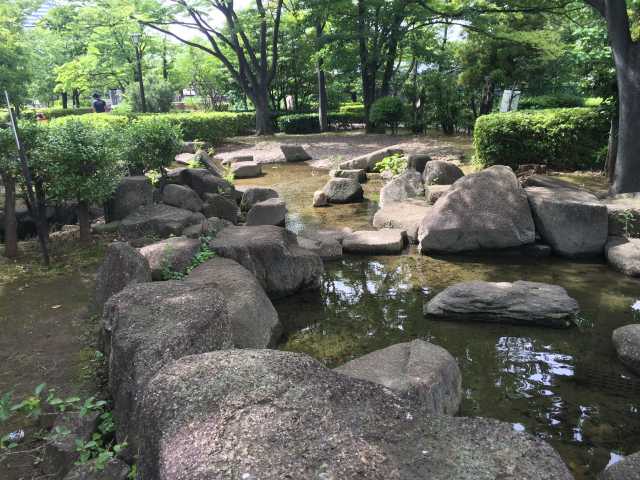 荒川自然公園の水辺広場