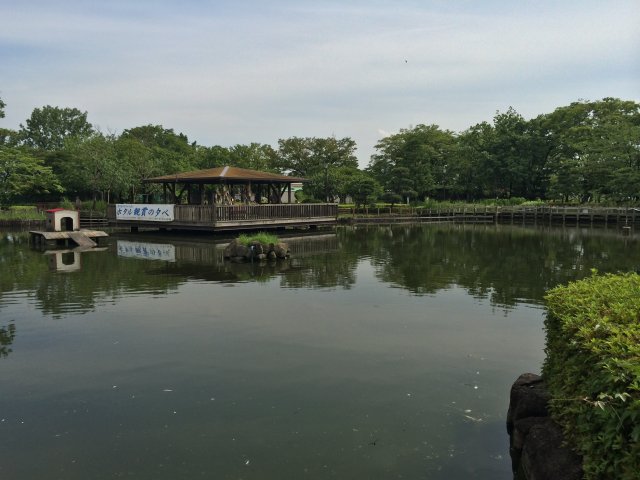 荒川自然公園の白鳥の池~外観