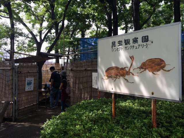 荒川自然公園の昆虫観察園~入口
