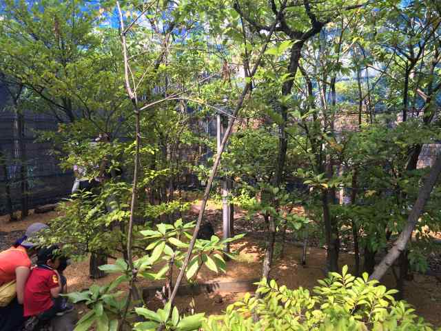 荒川自然公園の昆虫観察園~園内の様子