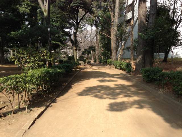 有栖川宮記念公園の中央園路～図書館裏手