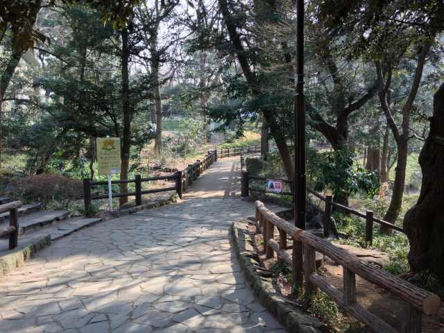 有栖川宮記念公園の中央園路～木下坂へ通じる道