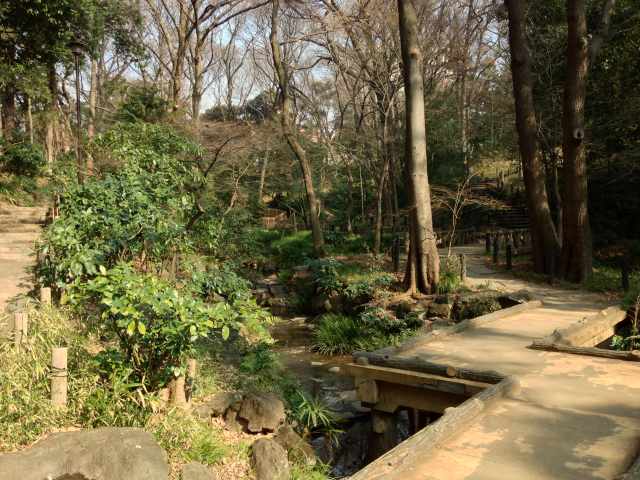 有栖川宮記念公園の渓流