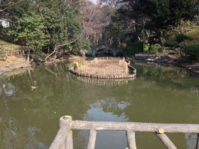 有栖川宮記念公園の池～近景