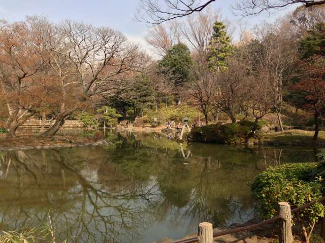 有栖川宮記念公園の池～遠景