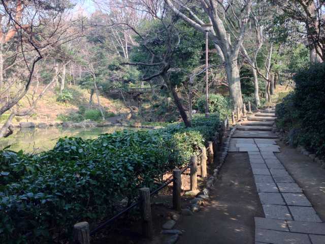 有栖川宮記念公園の南の園路