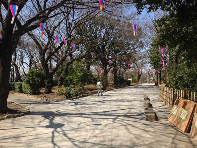 飛鳥山山頂