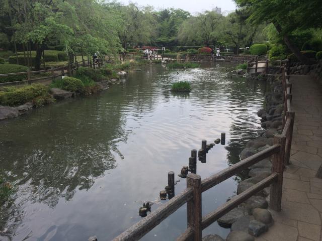 馬事公苑の日本庭園