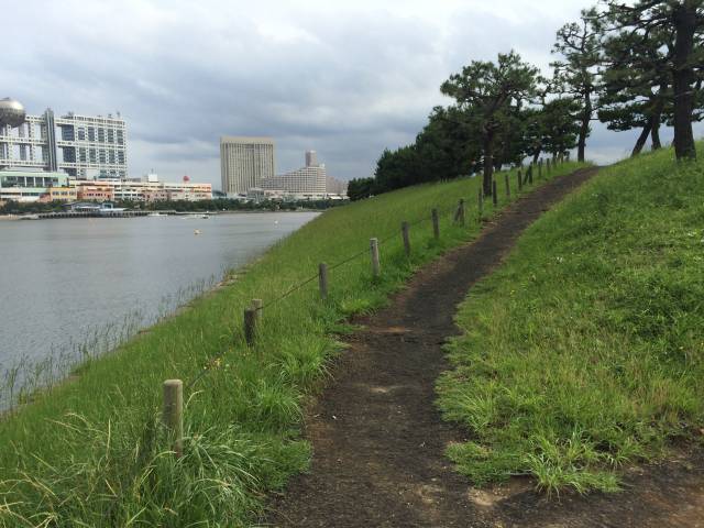 台場公園の東の園路