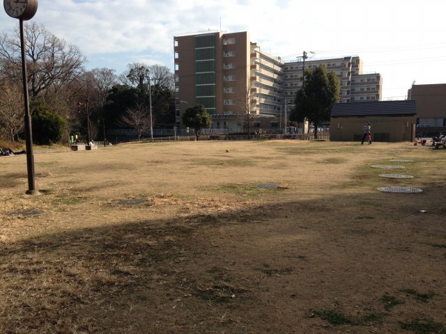 緊急時の避難所としても機能する芝生広場