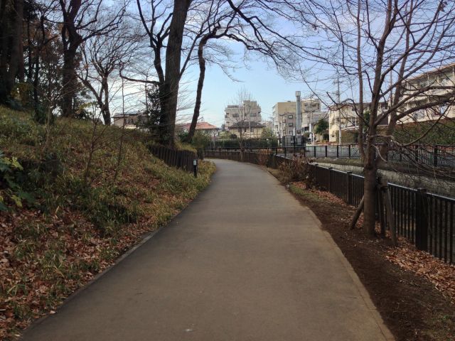 江古田の森公園内、川沿いの園路