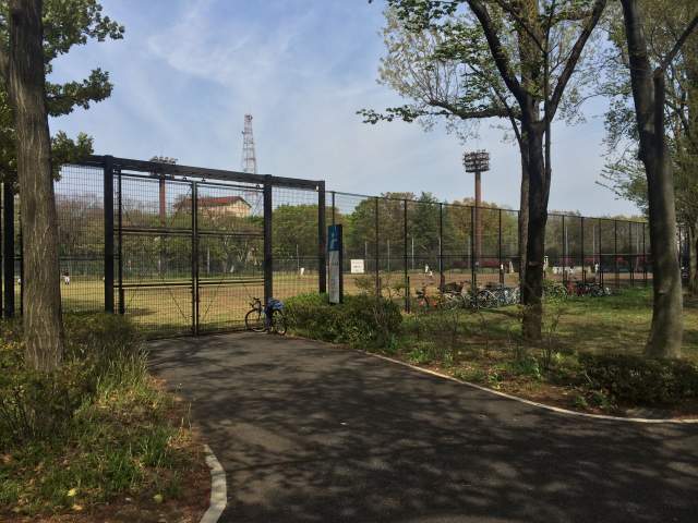 府中の森公園の野球場