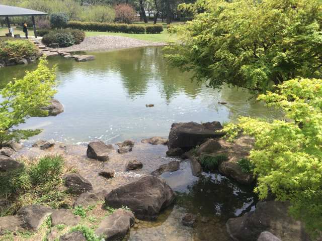 府中の森公園の日本庭園