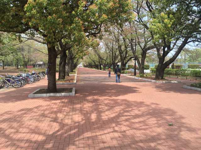 府中の森公園の花のプロムナード