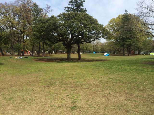 府中の森公園の大きな広場