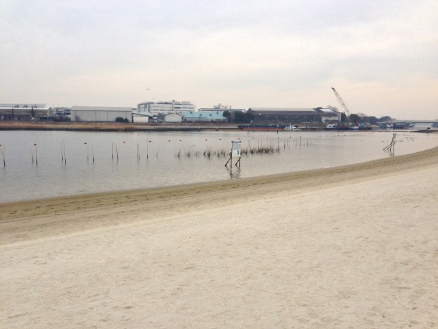 浜辺エリア～砂浜から湾を眺めたところ