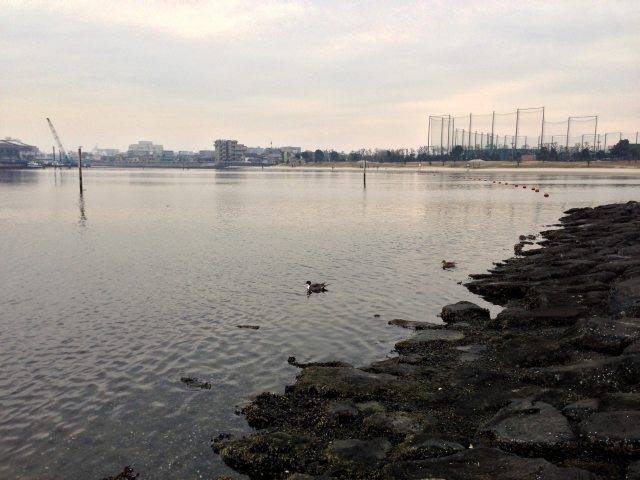 大森ふるさとの浜辺公園の釣り場