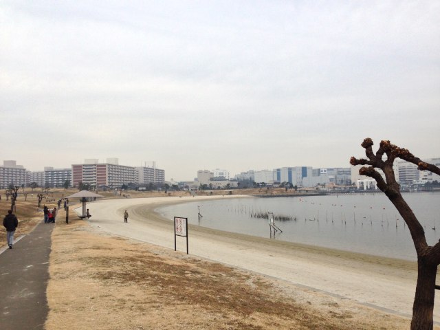 大森ふるさとの浜辺公園の南端からの眺め