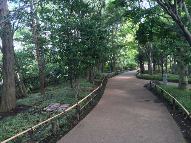 平成庭園の園路