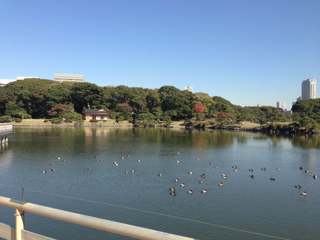 潮入の池（中島の御茶屋から）