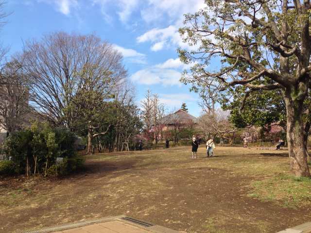 羽根木公園の南の草広場