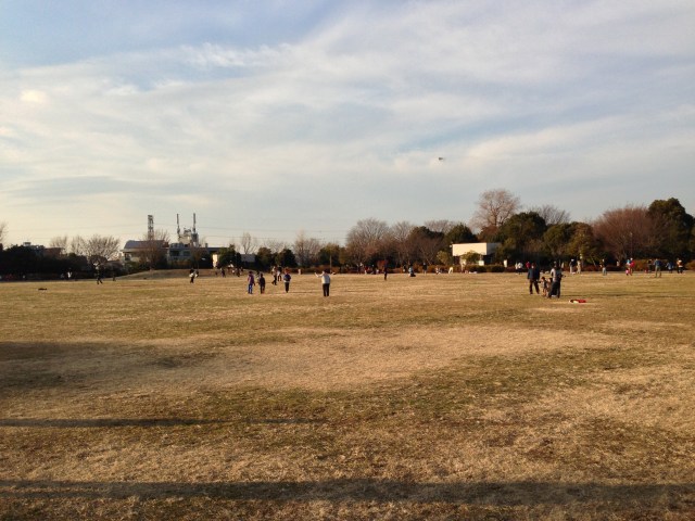 中野平和の森公園・芝生広場