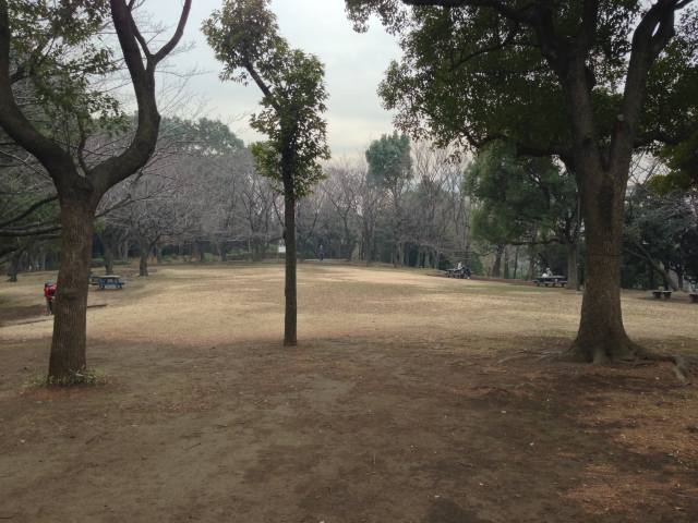 平和の森公園の見晴らし広場