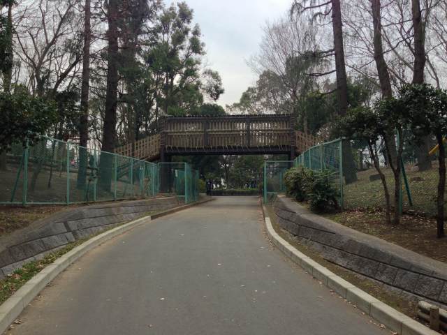 平和の森公園の南エリアの園路