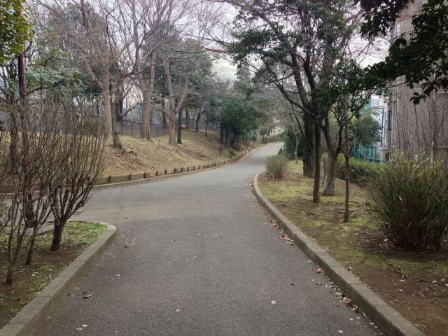 平和の森公園の東の園路