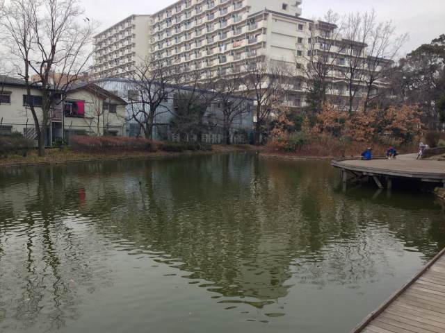 平和の森公園のひょうたん池