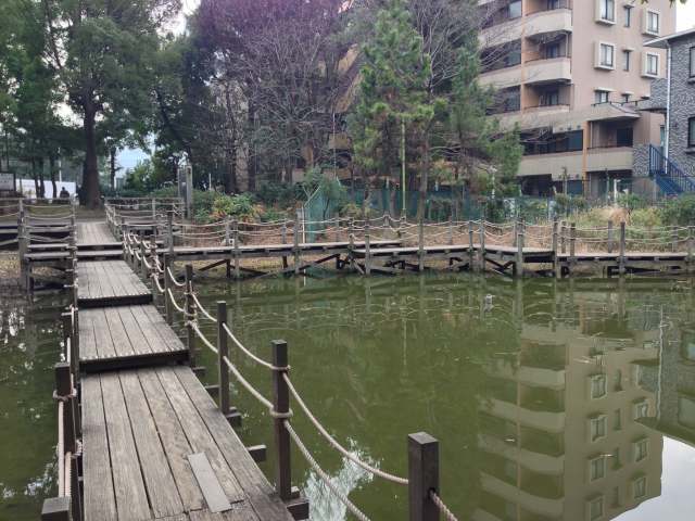 平和の森公園の自然観察園