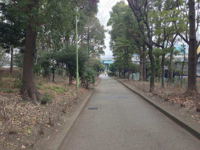 平和の森公園の南の園路