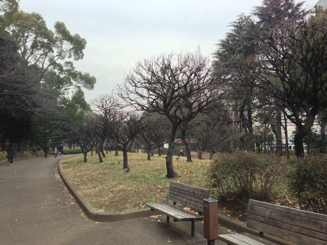 平和の森公園の西の園路