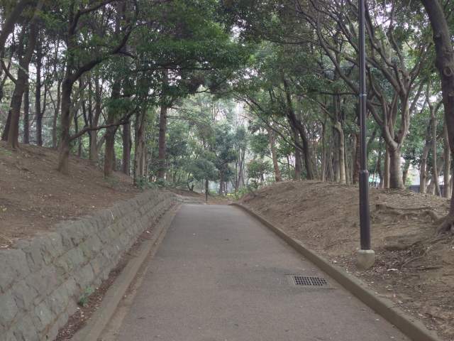 平和の森公園の北の園路