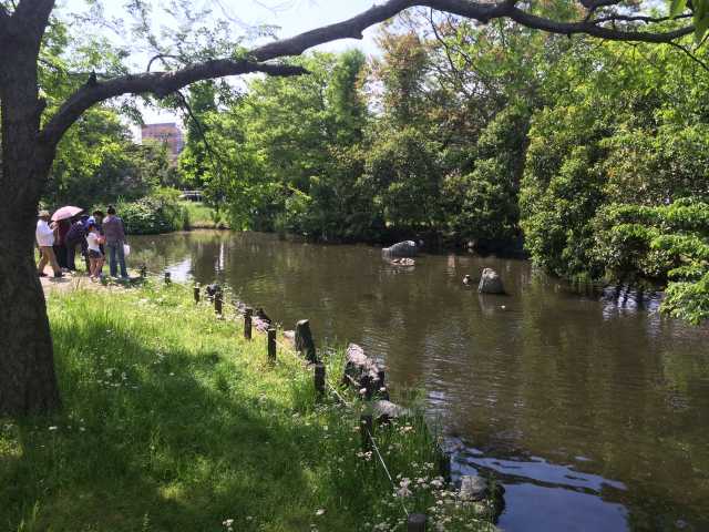 東綾瀬公園のせせらぎ～ほとりに憩う人々