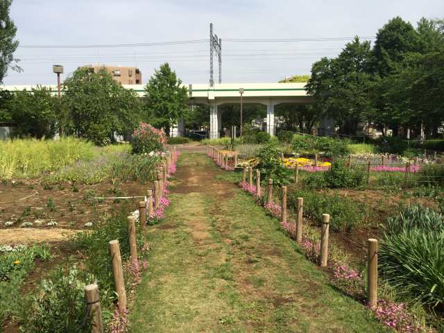 高架下の花壇