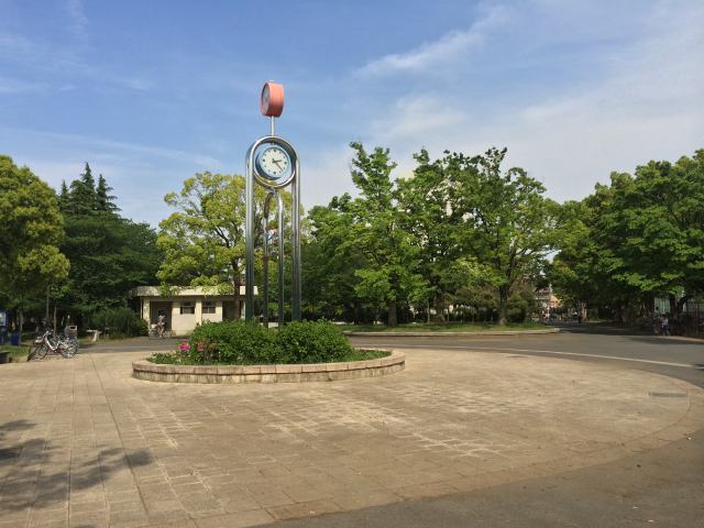 東綾瀬公園の管理センター前広場～時計塔近辺